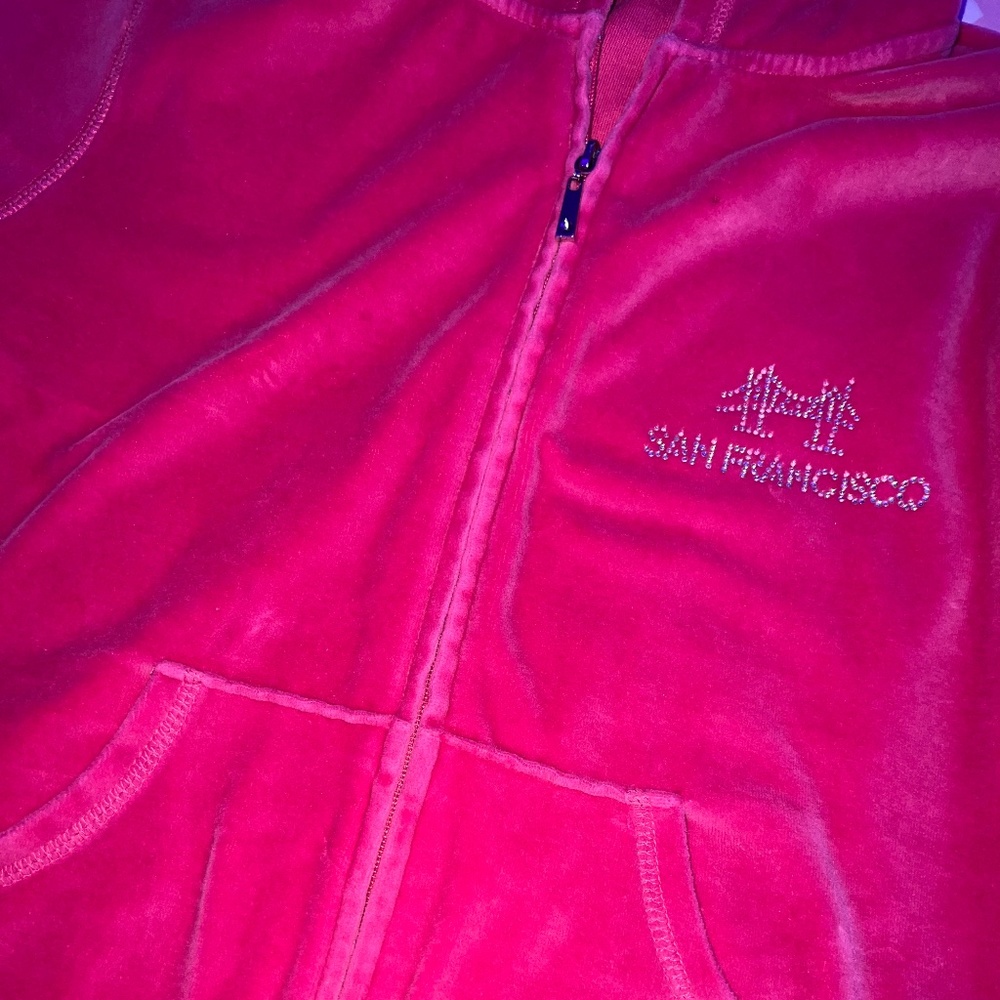 Pink Velour Rhinestone Hoodie - Picture 5 of 5